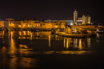 Fototapeta premium Night cityscape with Trani Cathedral, Apulia, Italy