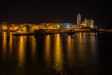 Fototapeta na wymiar Scenic view of Trani Cathedral and port at night, Apulia, Italy