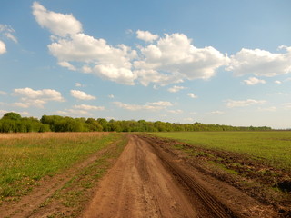 road in the field