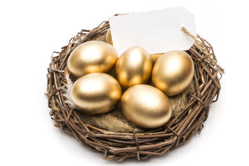 Nest with golden eggs with a tag and place for text on a white background. The concept of successful retirement