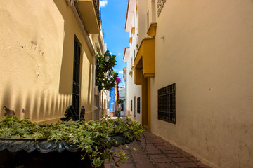 Fototapeta na wymiar Street. A sunny day in the street of Marbella. Malaga province, Andalusia, Spain. Picture taken – 12 june 2018.