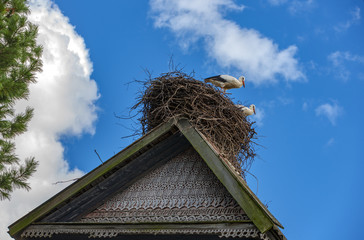 Storks sit in the nest on the roof in the summer