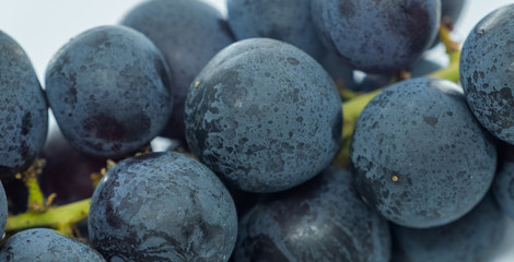 Black grape fruits over against white background