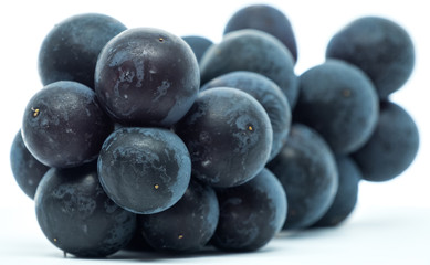 Black grape fruits over against white background