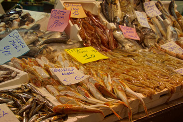 Small fresh fish in the covered market