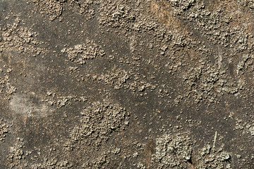 texture of old metal, the metal surface is covered with a lot of scratches and moss, abstract background