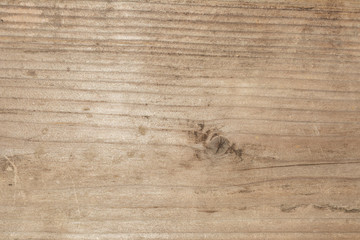 texture of the old tree with longitudinal cracks, surface of ancient weathered wood, abstract background