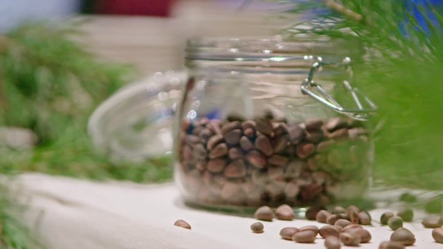 Piece of kitchen interior with a glass can full of cedar nuts and decorated with coniferous tree branch, green cone on cedar.