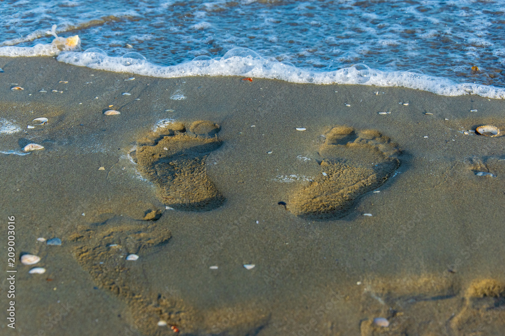 Wall mural footprints on the beach