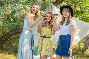 Group of girls friends making picnic outdoor. They drink wine from glasses