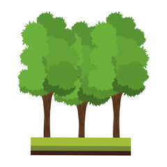 Trees on ground vector illustration graphic design
