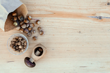Fresh Hazelnuts with nut cracker