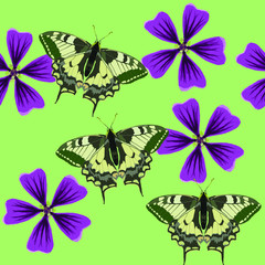 Petunia, butterfly. Texture of flowers, butterflys. Seamless pattern for continuous replicate. Floral background, photo collage for production of textile, cotton fabric. For use in wallpaper, covers.