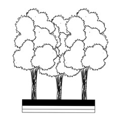 Trees on ground vector illustration graphic design