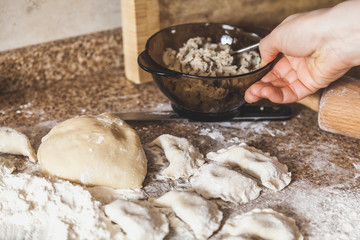 piece of dough and raw dumplings lie on marble table