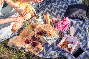 Picnic Lunch Meal Outdoors Park Food Concept.