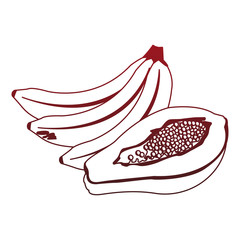 Bananas and papaya vector illustration graphic design
