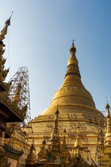 Fototapeta premium Shwedagon Pagoda, Yangon ,Myanmar