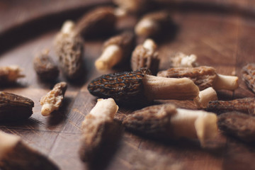 Morel Mushroom