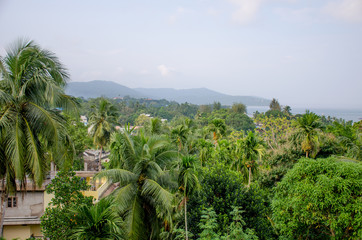 Fototapeta na wymiar Beautiful landscape of tropical plants of the Andaman Sea to Port Blair India 