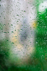Morning rain in the spring forest.Selective focus.Background.
