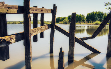 Naklejka premium Old tree in the water.The old bridge over the river.