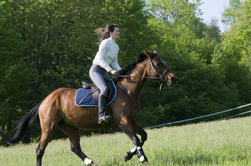 horsemanship