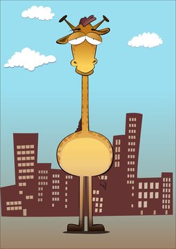 giraffe