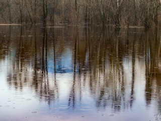 Spring flood in the river.Spring rain.