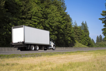 Big rig semi truck with long box trailer running on green road with trees and blue sky © vit