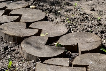 Дорожка из деревянных колец