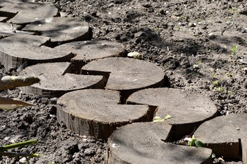 Дорожка из деревянных колец