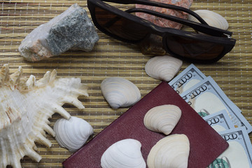 passport, camera with money (dollars) hat and seashells lie on the beach covered, let off in the...