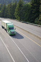 Fototapeta na wymiar Green big rig American semi truck with tented semi trailer moving on wide divided highway with trees on background