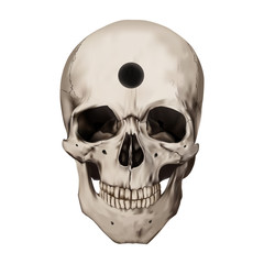 Obraz premium Human realistic skull with a hole. Trepanation, ancient surgery. White background. Anatomy vector illustration.