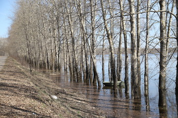 Lake, trees in water during flood and boat in a day of a spring