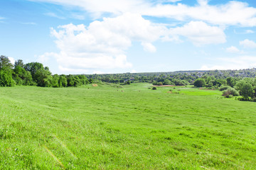Obraz premium Beautiful landscape with blue sky