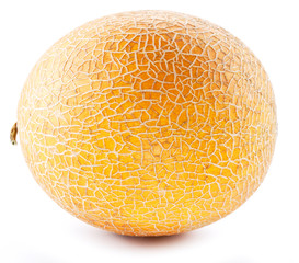Ripe melon on white background.