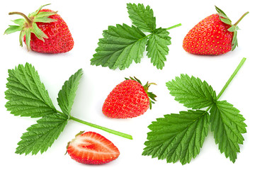 Raspberry fruit and leaf set closeup on white