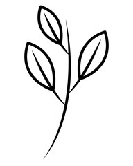 branch leaves plant decoration vector illustration design