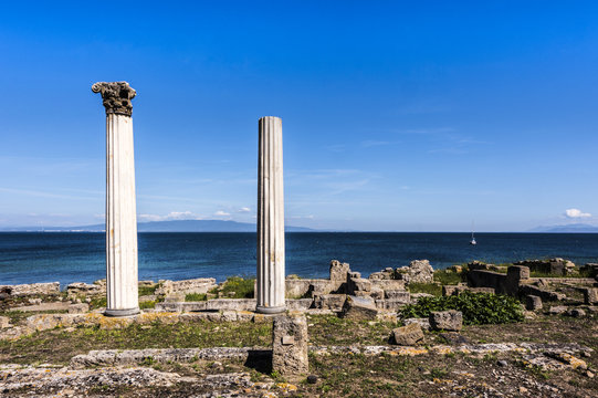 Tharras 이미지 찾아보기 5 스톡 사진, 벡터 및 비디오 Adobe Stock