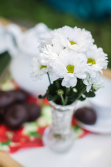 top view of white daisies in vase on table for afternoon tea in a summer garden