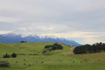 Fototapeta na wymiar Kaikoura Mountains, New Zealand