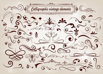 set of hand drawn elements