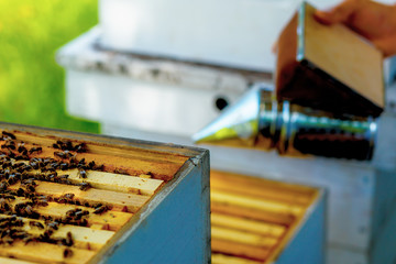 Smoke beekeeper for processing bees by smoke.