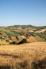 Fototapeta na wymiar Panoramic view of olive groves and farms on rolling hills of Abruzzo