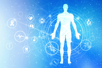 Obraz premium 2d illustration Human Male Muscle Body 