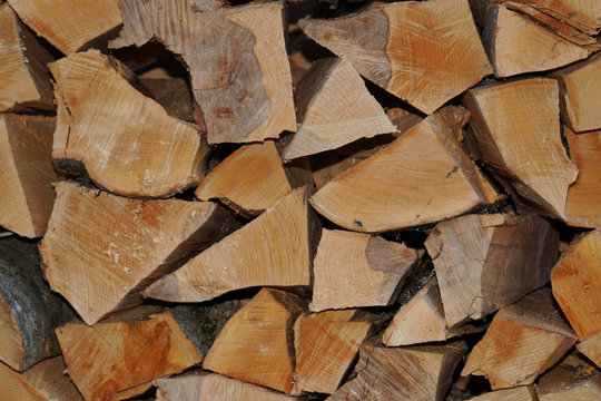 Large folded fresh logs of wood from the Caucasus Fagus orientalis wood beech in the form of woodpile