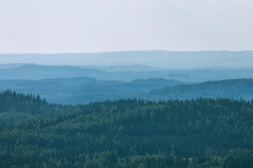 Fotobehang Uitzicht op het prachtige bos vanaf de heuvel, Koli National Park, Finland © sokko_natalia