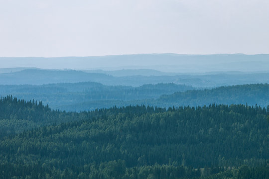 Fototapeta View to beautiful forest from hill, Koli National Park, Finland